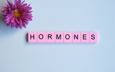 Heile deine Hormone
