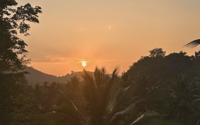 Eine Reise zu Heilung und Selbsterkenntnis: Meine 3-wöchige Ayurveda-Kur in Kerala, Indien