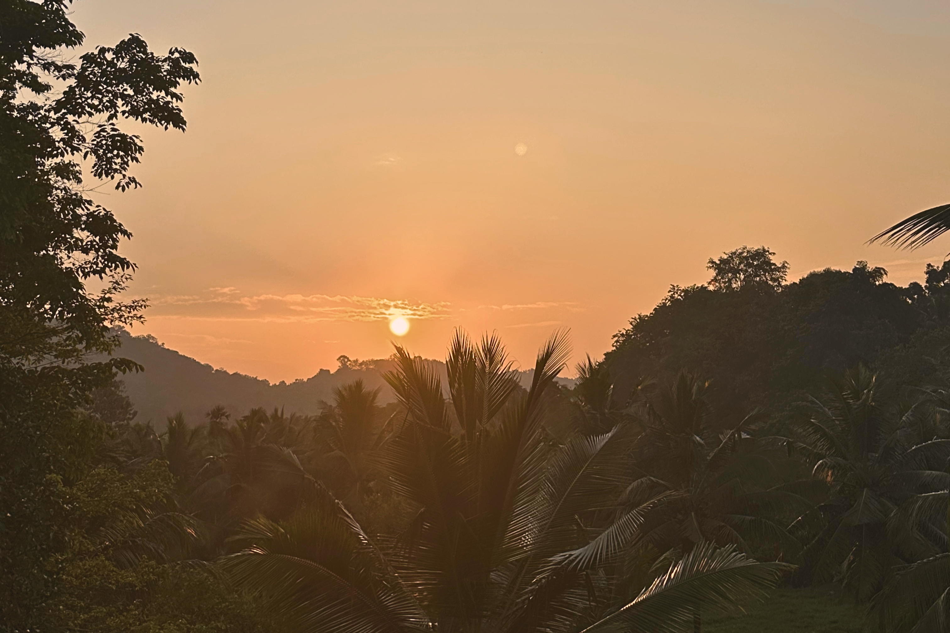 Ayurveda Kur Kerala